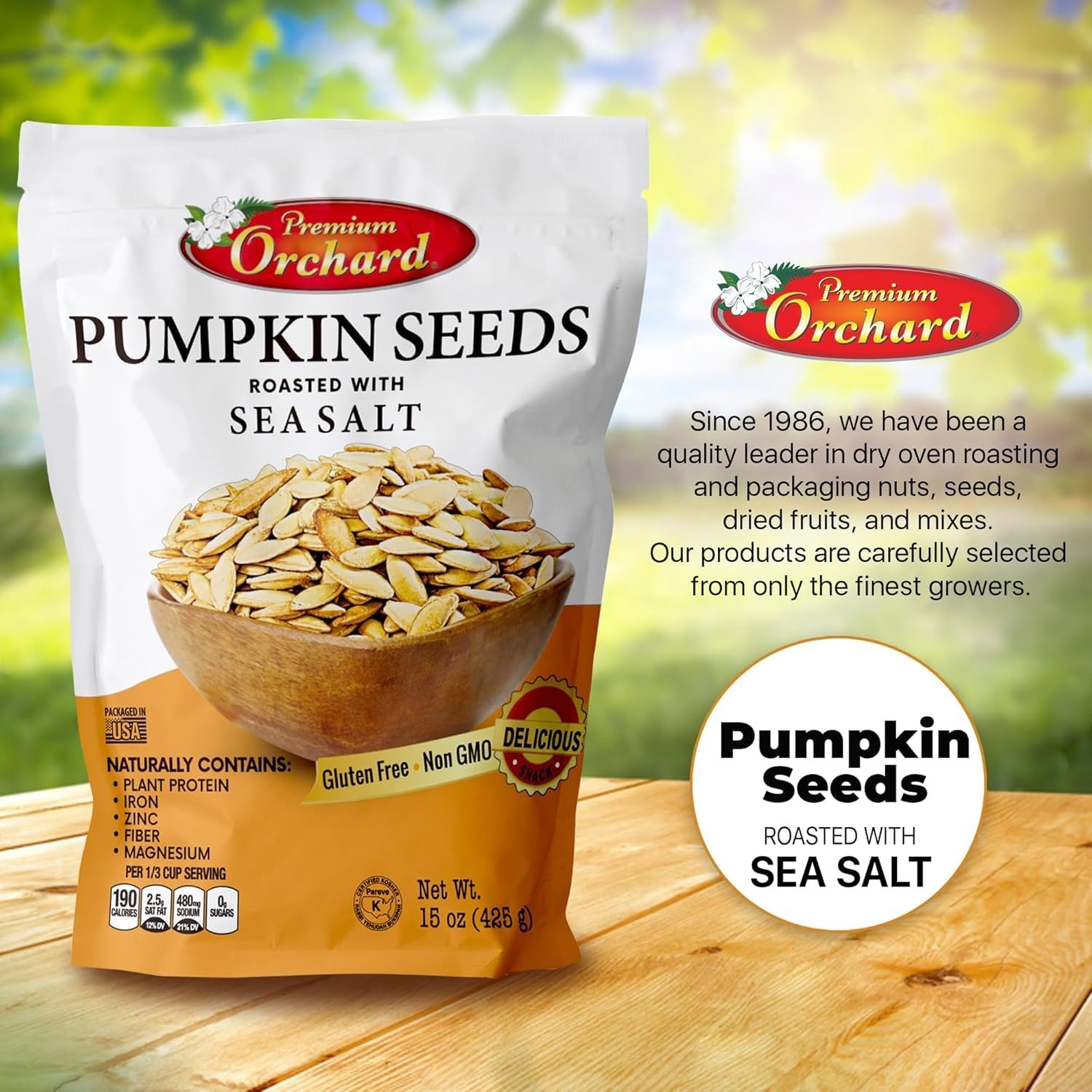 ROASTED PUMPKIN SEEDS to Eat in Shell by Premium Orchards MIXED NUTS – Salted…