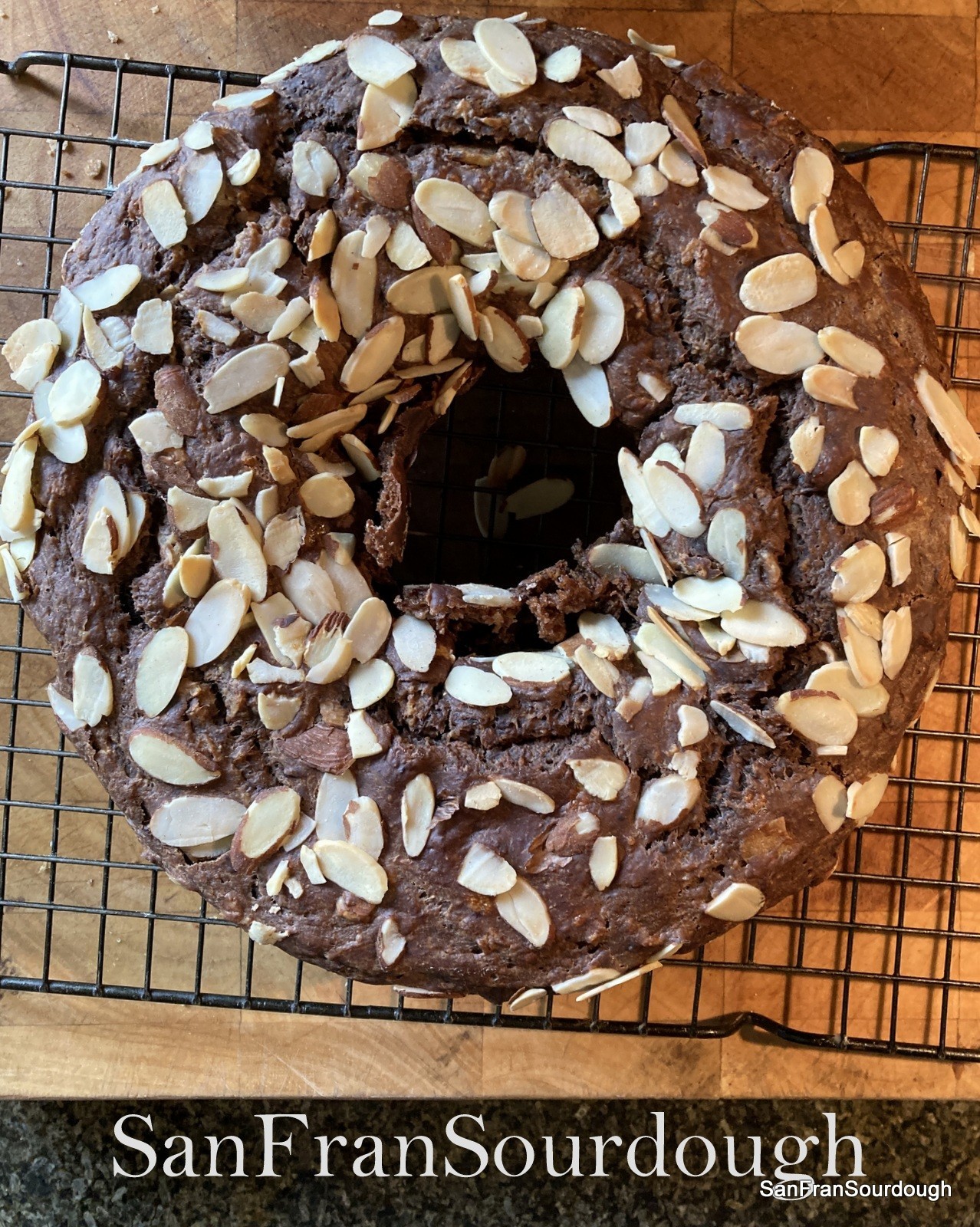 Sourdough Starter San Francisco California Yeast Bacteria baking bread pastry