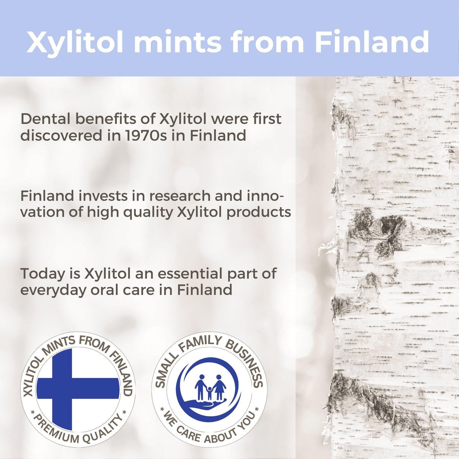 Xylitol Mints Wild Berries Sugar Free 5oz 245 Count for Oral Care