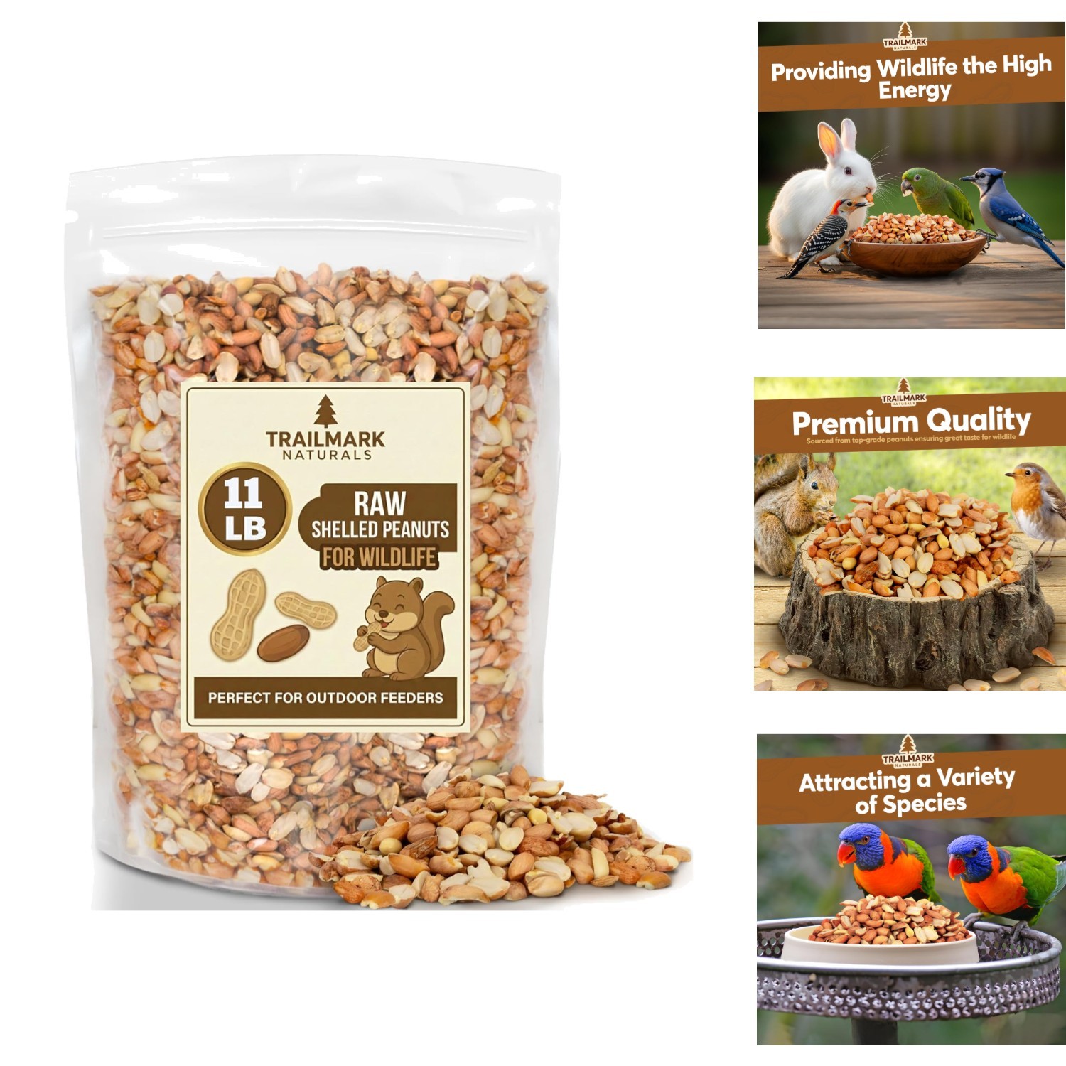 11 LB Raw Shelled Peanuts for Squirrels Birds & Wildlife – Unsalted USA Grown