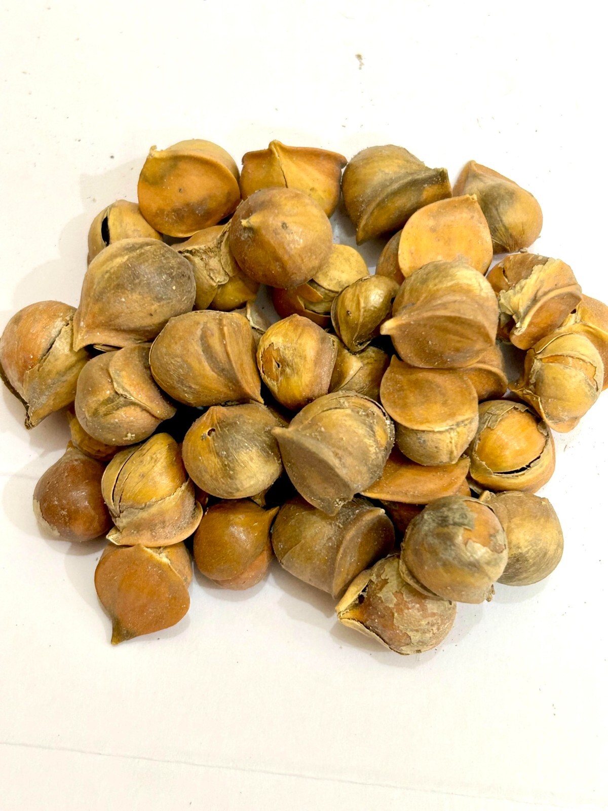 Organic Kashmiri Garlic, Fresh Pahadi Lahsun, Himalayan Garlic, Allium Sativum