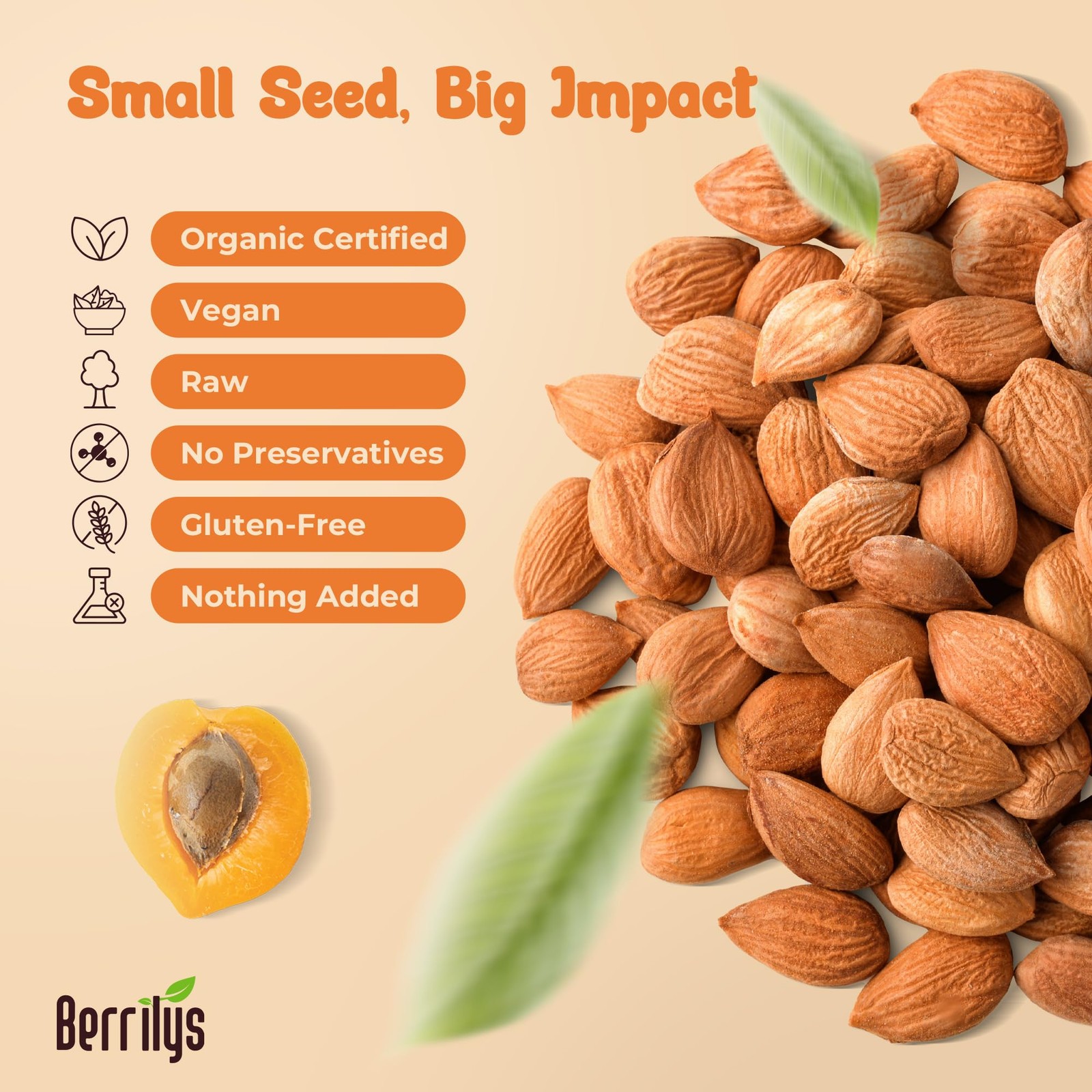 Organic Bitter Apricot Kernels USDA Certified Organic Bitter Apricot Seeds …