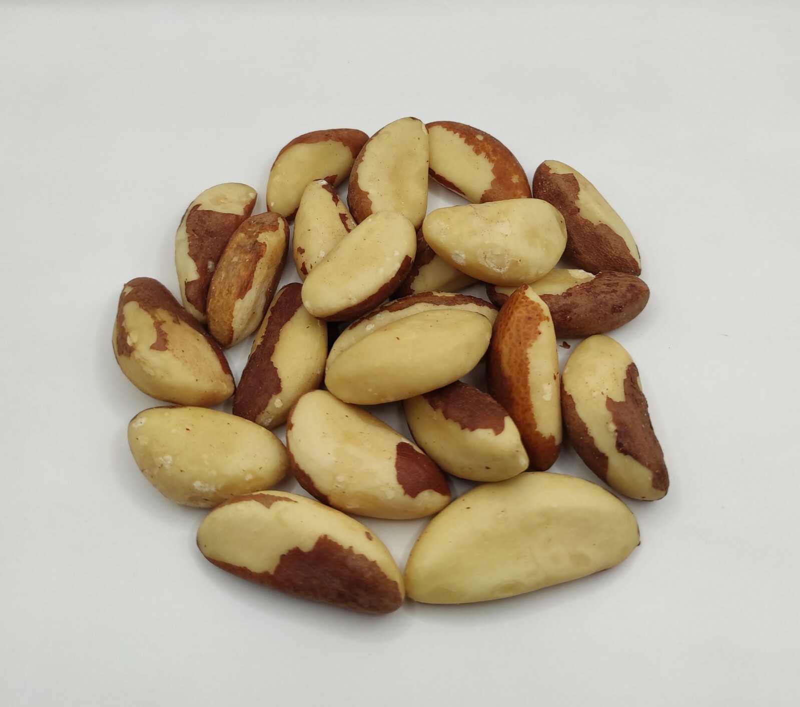 Dried Brazil Nuts 40g(1.4oz) – 1.95Kg(68.8oz) Bertholletia excelsa