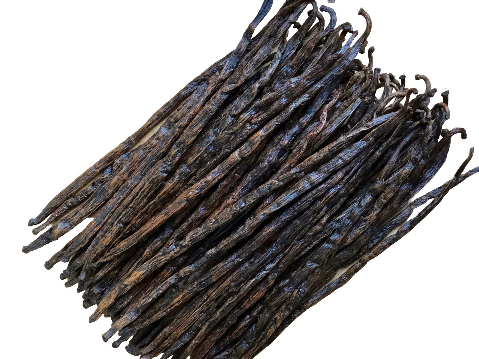 Madagascar Bourbon Vanilla Beans Grade B – Great for Extraction & Baking