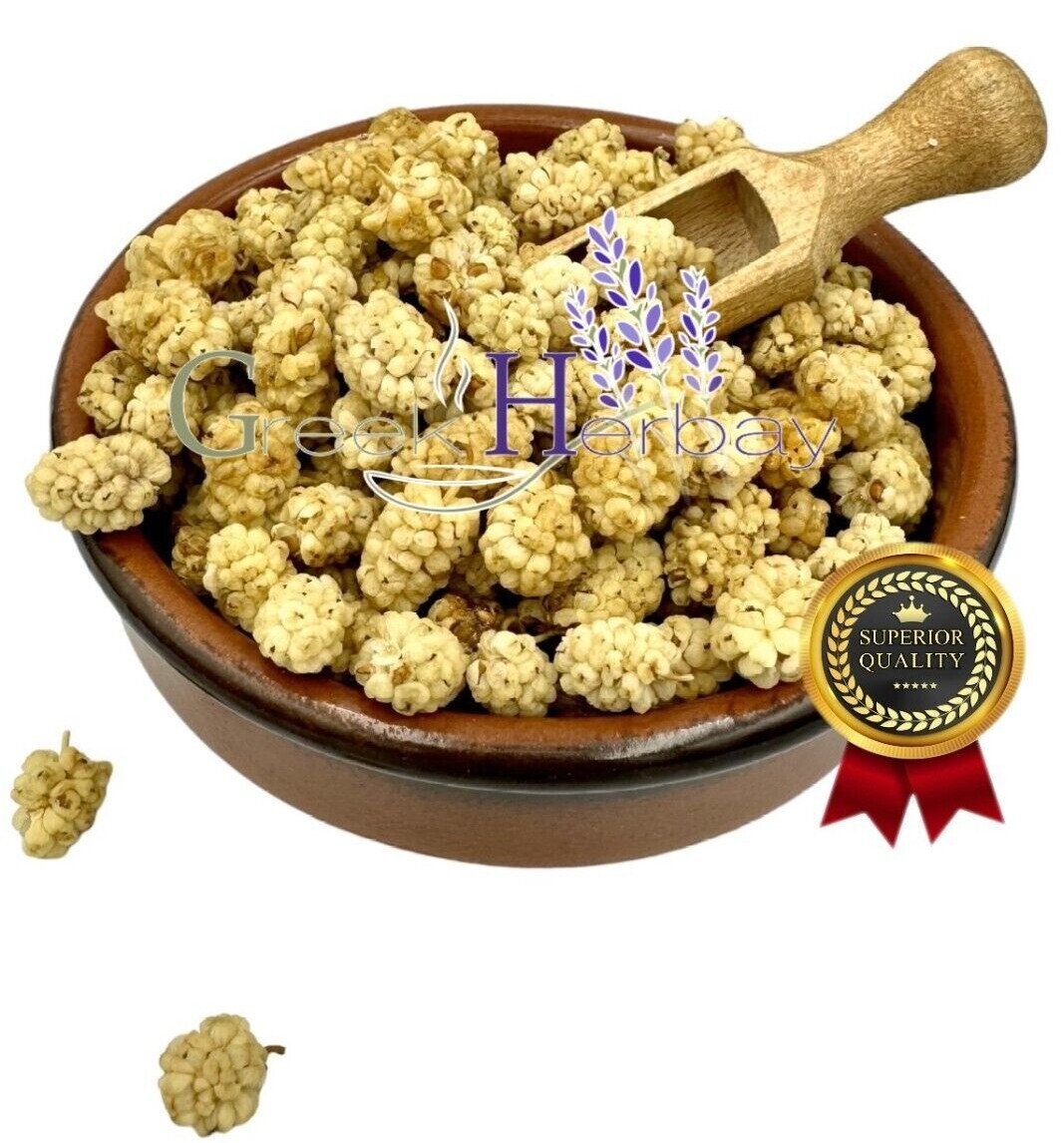 Mulberries Dried White Berries 20g- 4.9kg Morus Alba