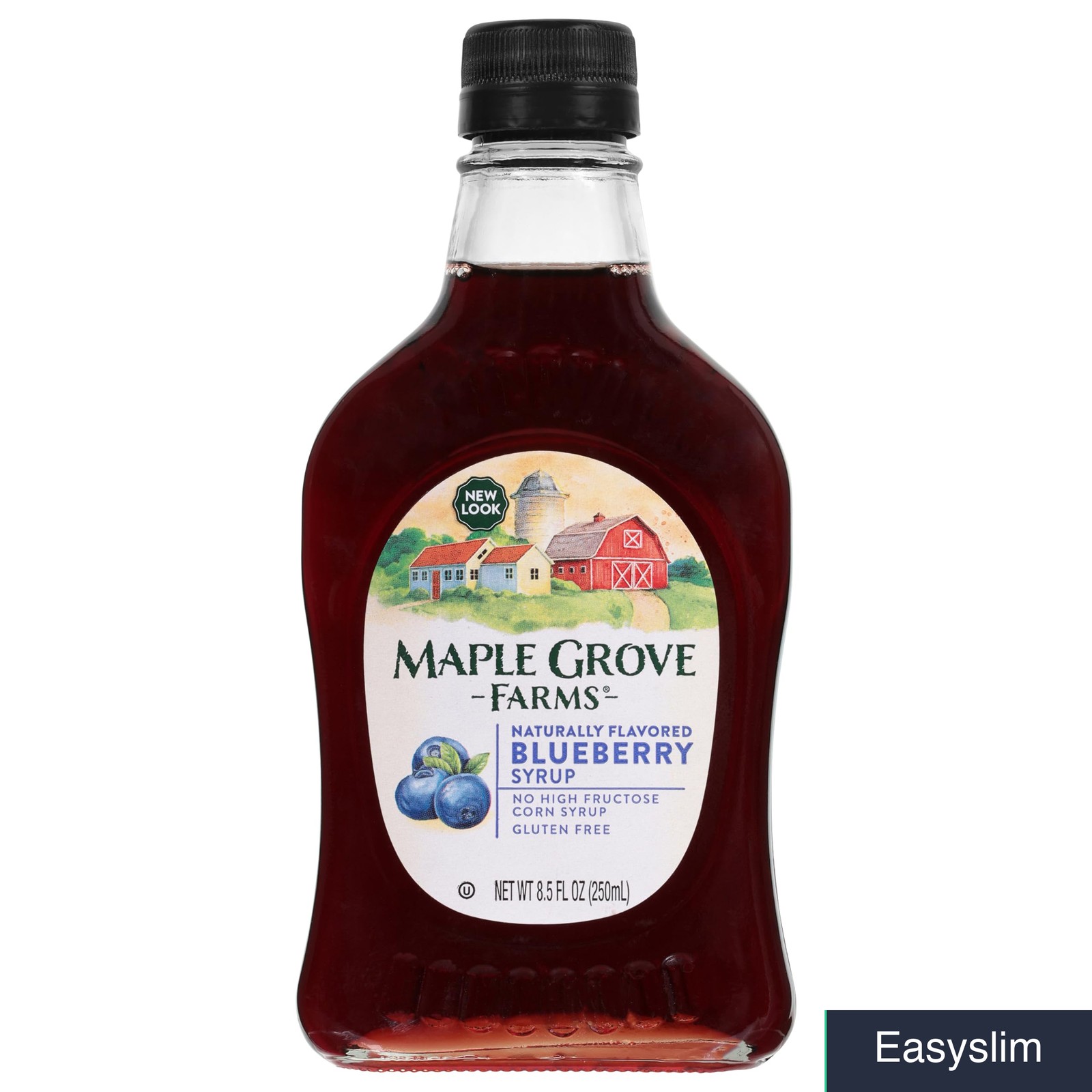 Blueberry Fruit Flavored Syrup 8.5 Fl Oz Pancake Topping Dessert
