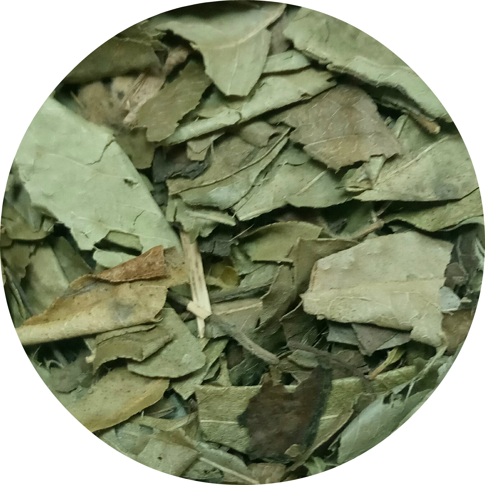 Curry Leaves Dried Broken Spice King Murraya koenigii Kadi Patta 10 g 0.35 oz