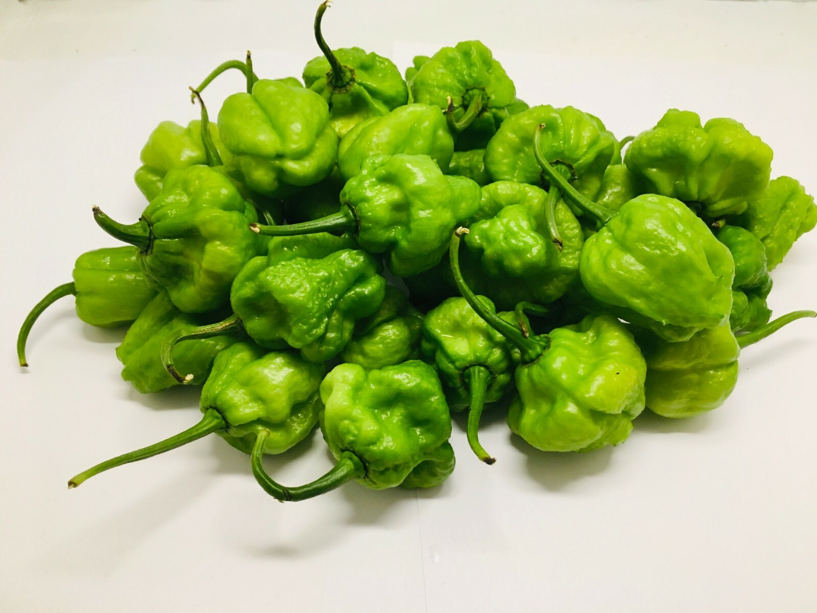 Fresh Green Jamaican Scotch Bonnet Hot Pepper pods – Flavorful and Spicy