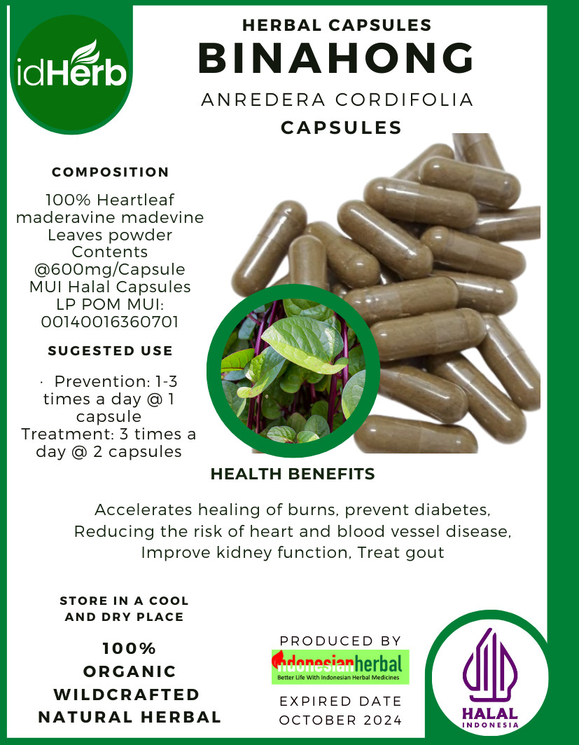 {idHerb} CAPSULE BINAHONG – ANREDERA CORDIFOLIA NATURAL ORGANIC HERBAL FRESH