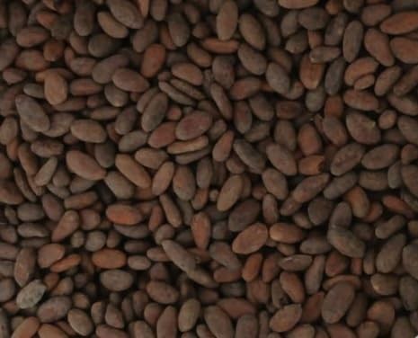 Raw Cacao Beans Unroasted – 100% Pure Colombian Whole 16.0144 Ounce
