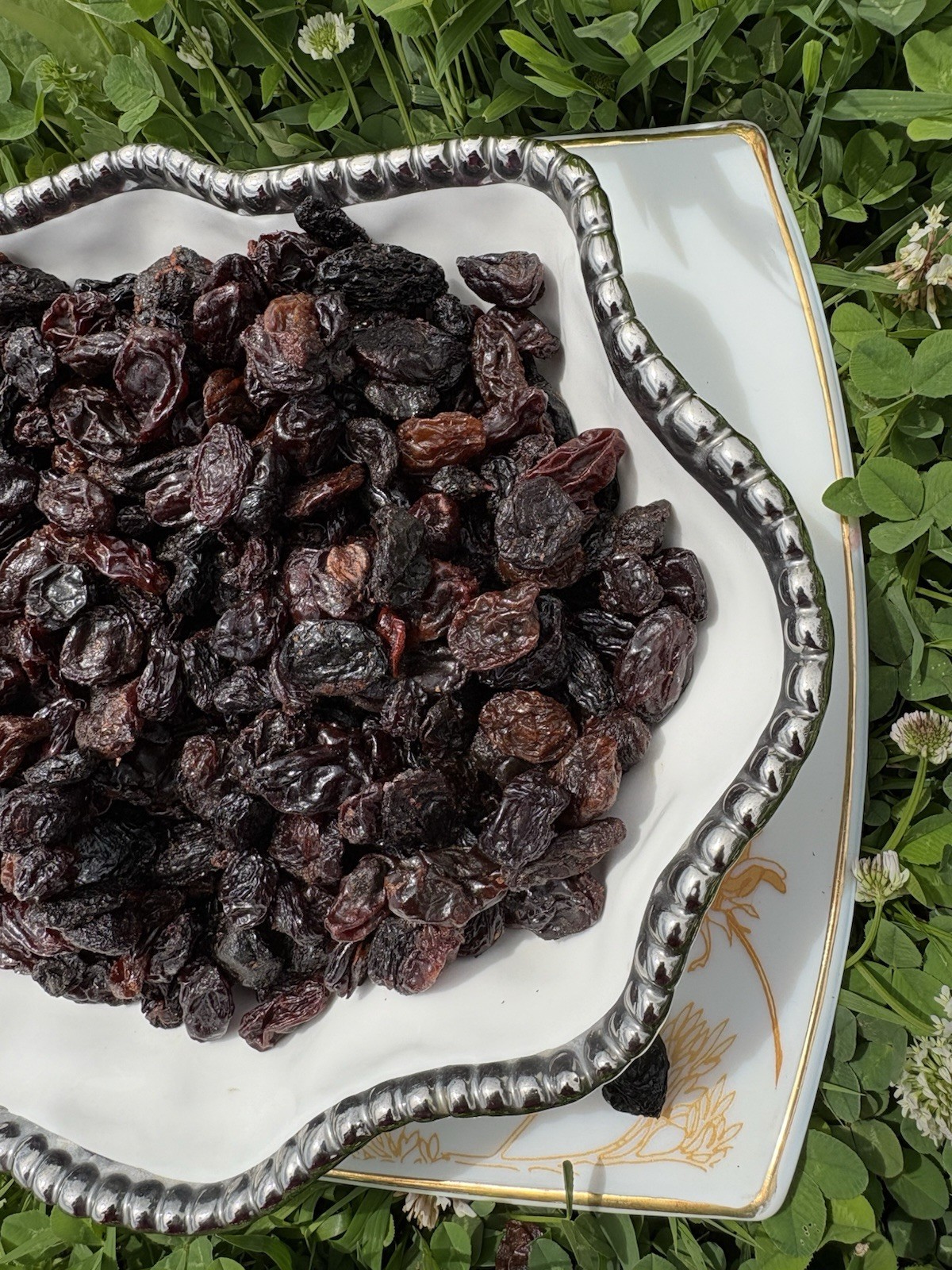 Jumbo Black Raisins Fresh Resealable Bag 11oz. to 40 lbs.by Agro Sun Quality