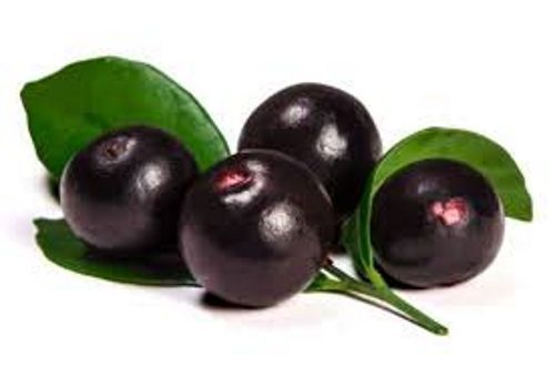 ACAI Assai freeze dried powder 4oz 8oz 16oz 1lb 32oz 2lb 4lb 10lb 55lb – PAJE