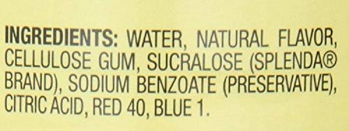 Sugar-Free Raspberry Syrup – 12 x 750 ml Plastic 25.4 Fl Oz (Pack of 1)