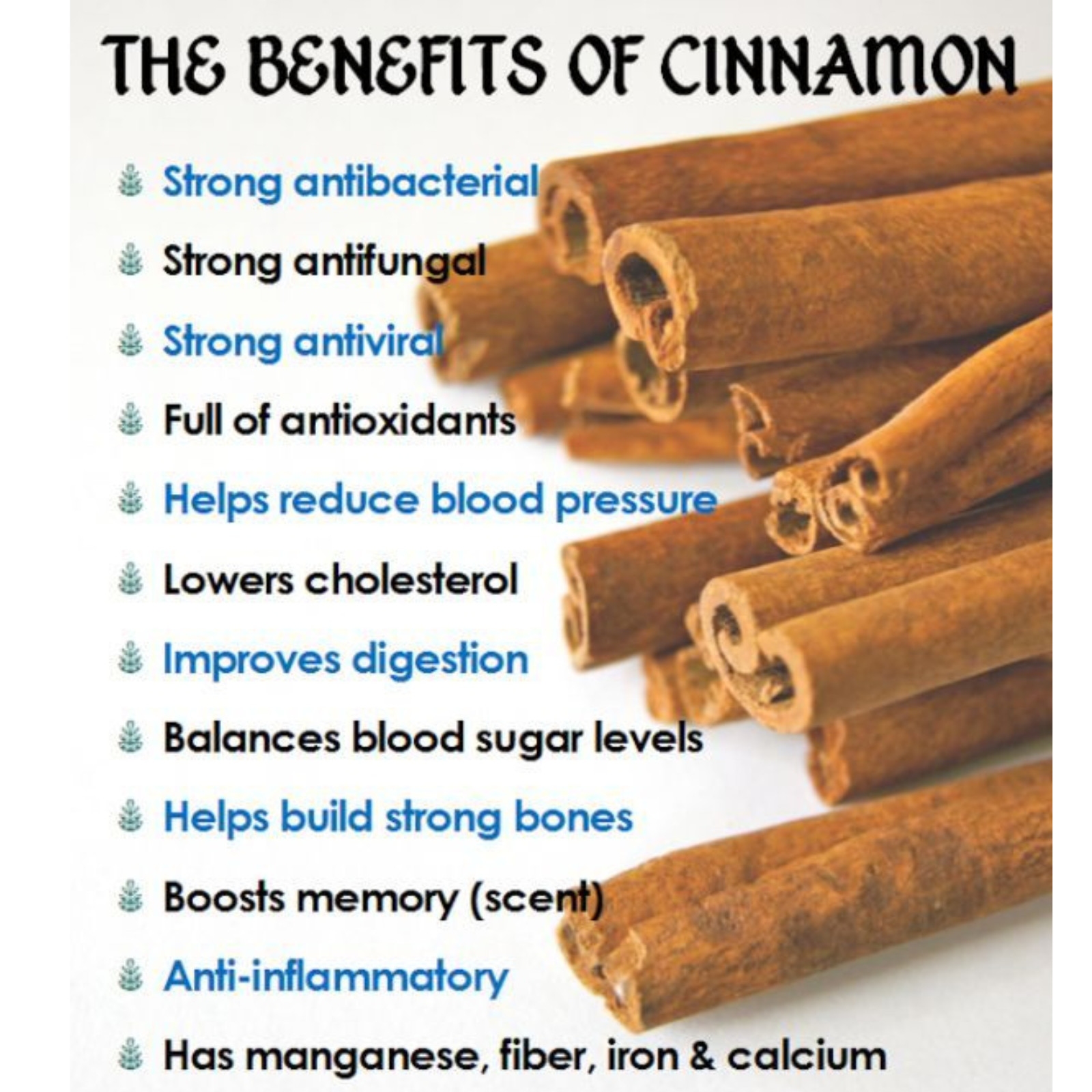 100% Pure Organic Ceylon Cinnamon Sticks from Sri Lanka – Genuine True Cinnamon