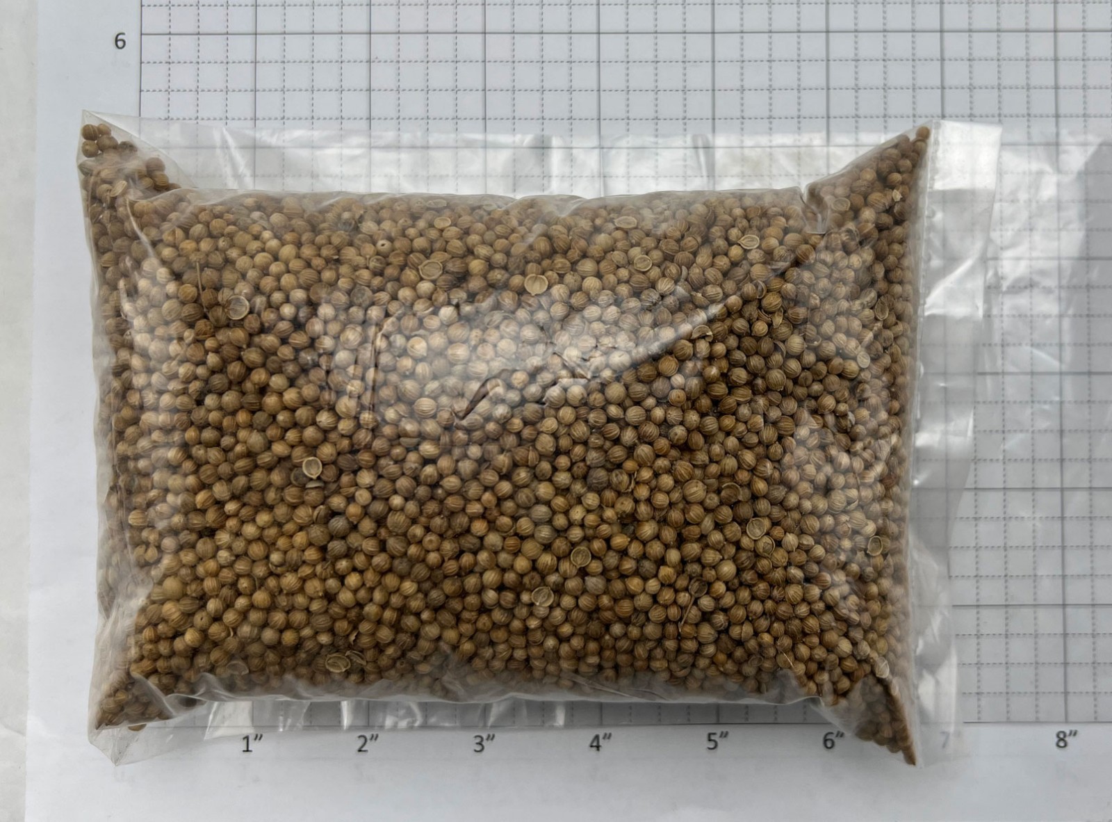 0.5 Lb/8 oz Coriander Seed for Cooking