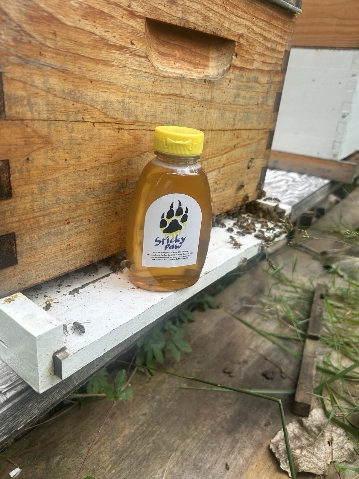 Raw & Unfiltered Honey 1lb. by Pure Ohio Honey, New 2025 Crop