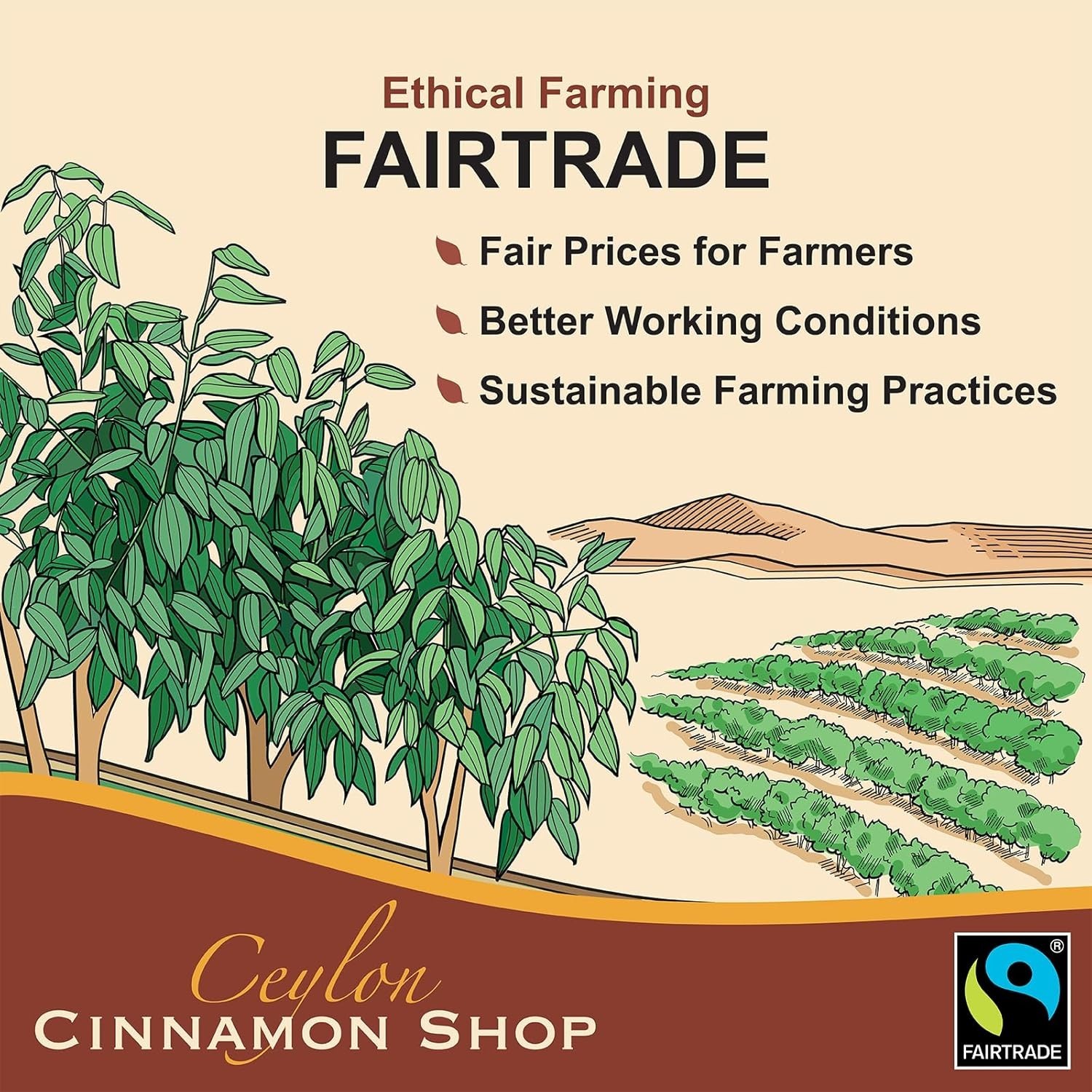 Fairtrade Certified Organic Ceylon Cinnamon Powder – 8 oz for Baking & Smoothies