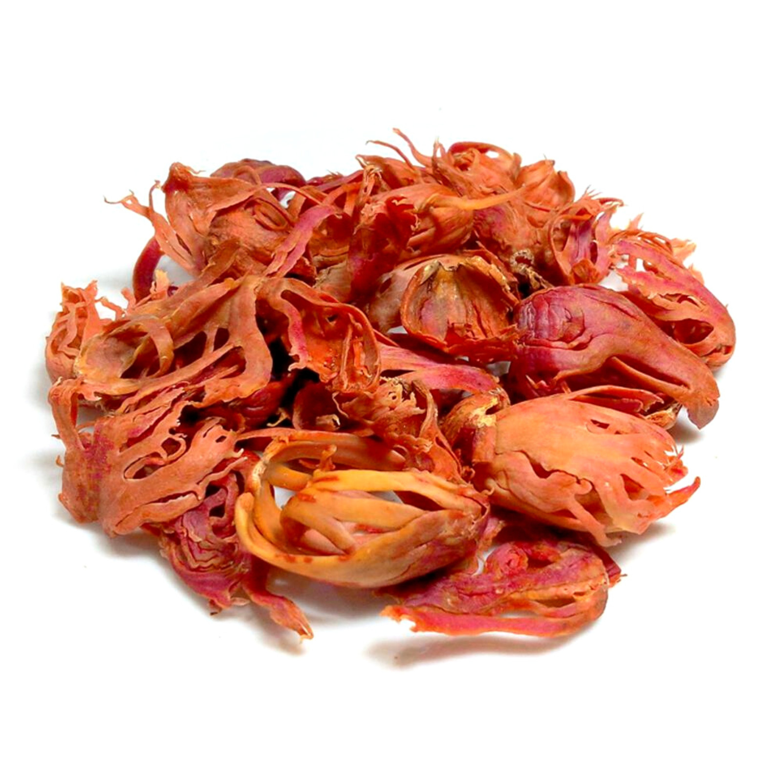 Organic Nutmeg Mace blade | Ceylon Premium Quality Spices Natural Herbs Bulk