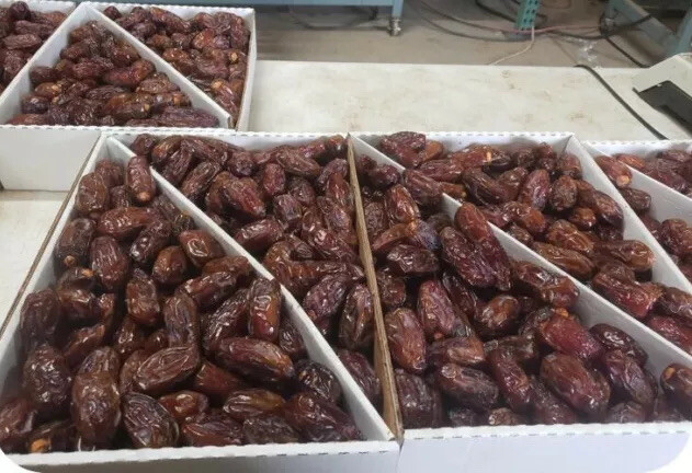 MEDJOOL DATES 11LB BOX.. FRESH FROM CALIFORNIA. FAST FREE SHIPPING.