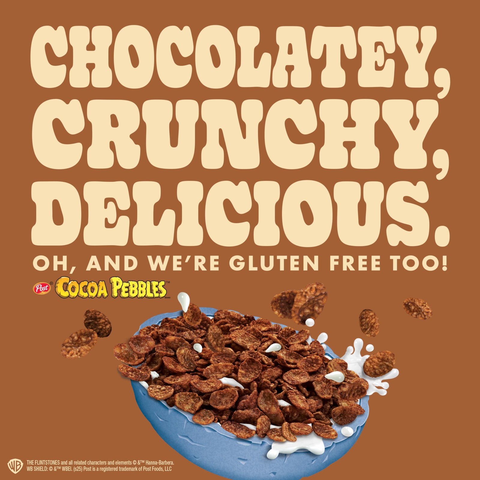 Pure Protein Cocoa PEBBLES™ Bars – 20g 12 Count (Pack of 1), brown