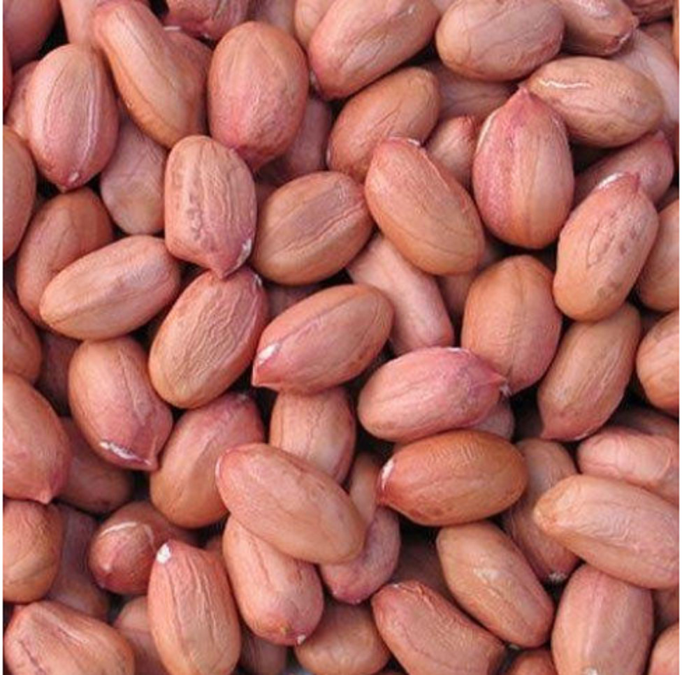 Nigerian Styled Roasted Groundnuts, Lightly Salted, Organic food | 460g, Sealed