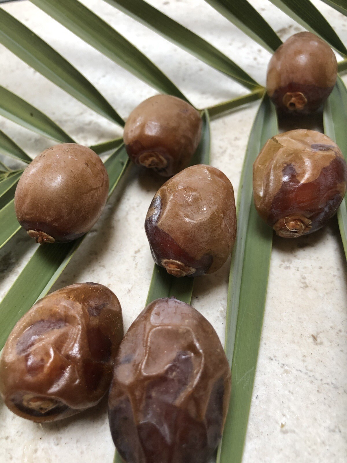 2 LB BARHI DULCE BROWN DATES. FAST FREE SHIPPING.. CALIFORNIA FRESH.