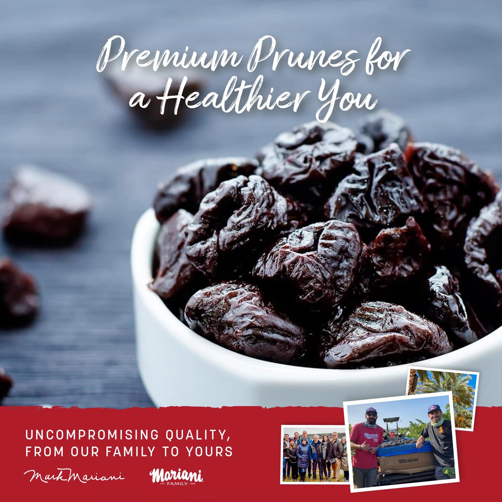 Mariani Probiotic Prunes Pitted Unsweetened, 30oz – Bulk 30 Ounce (Pack of 1)