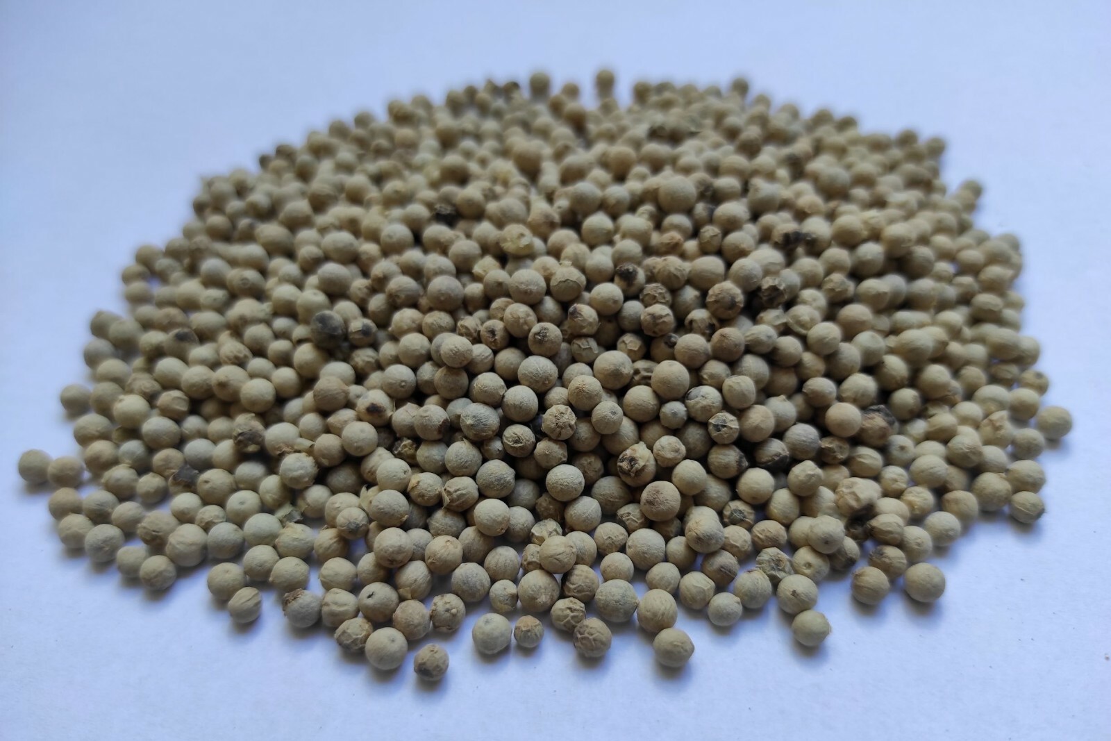 Whole White Peppercorns White Pepper 85 – 950 grams Class A