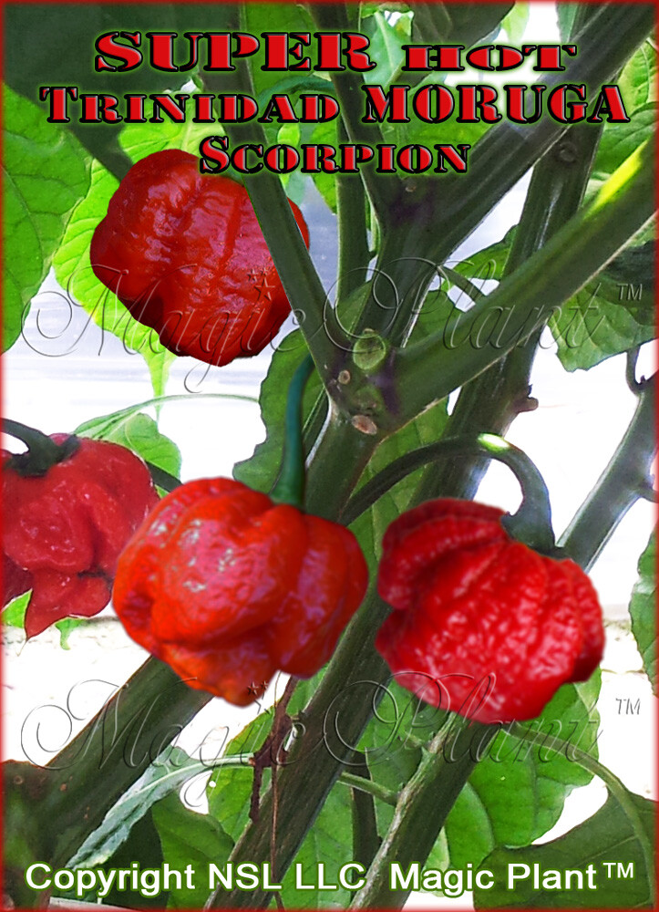 Trinidad Moruga Scorpion Flakes 1lb | Moruga Scorpion Peppers – XXXHOT!!!