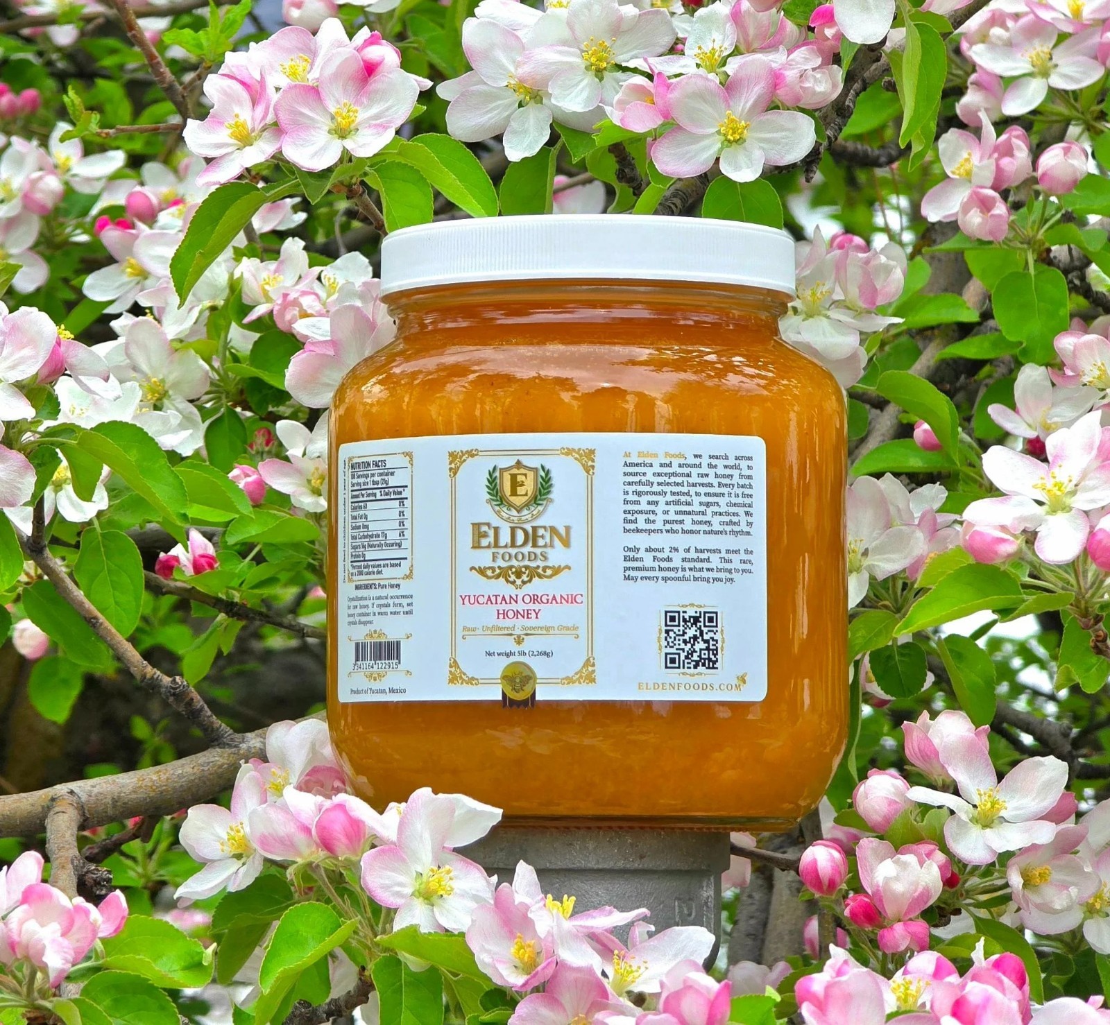 Elden Foods Pure Raw Organic Honey 5 lb Glass Jar Yucatan Peninsula