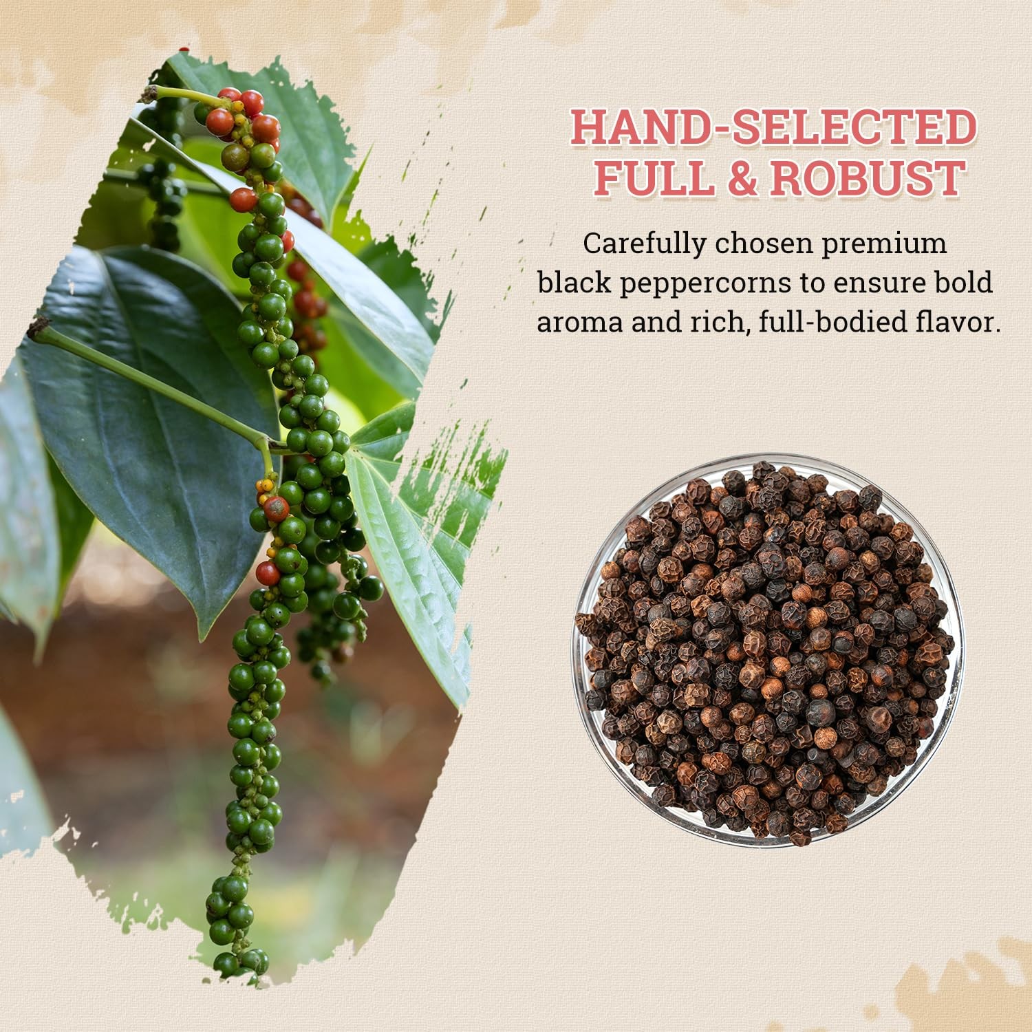 52USA Whole Black Peppercorns 18 oz + Himalayan Pink Salt (Coarse Grain) 39 o…