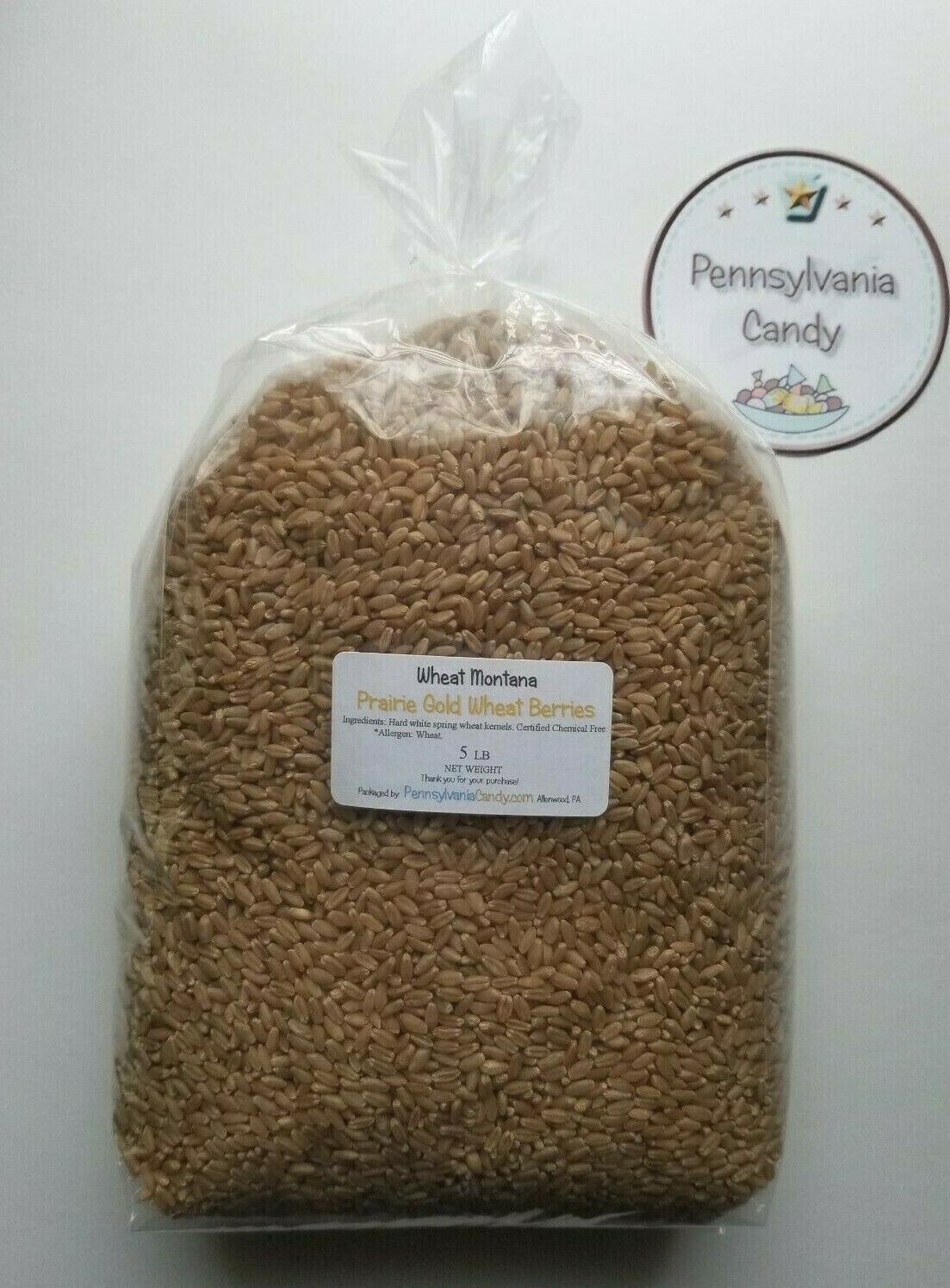 PRAIRIE GOLD 5 lb WHEAT BERRIES Kernels Seeds Hard White Spring Grain Montana