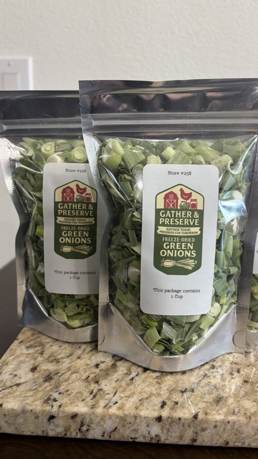Gather & Preserve Freeze Dried Green Onions 1 Cup Dried Fruit & Vegetable