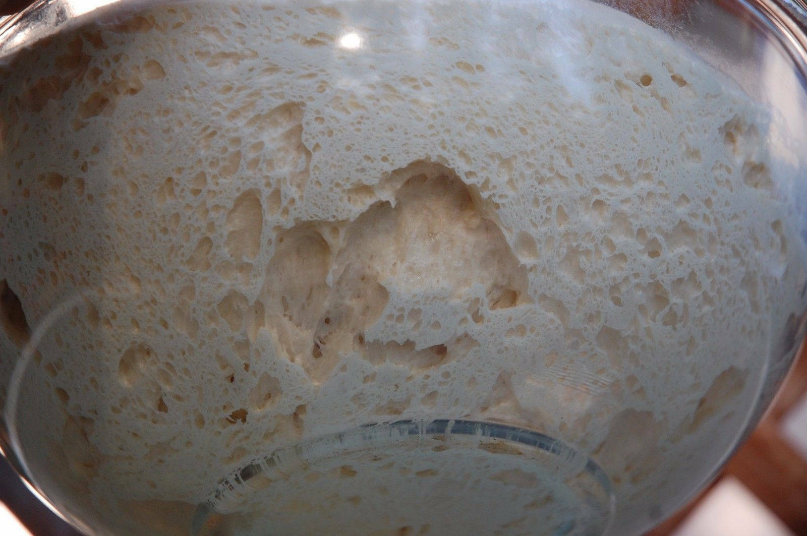 San Francisco live sourdough yeast, make sourdough bread at home, beast BONANZA
