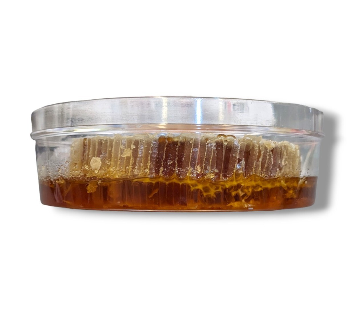 HONEYCOMB 2 Pack 17.6oz 500g each 100% PURE UNFILTERED HONEY COMB DELICIOUSNESS