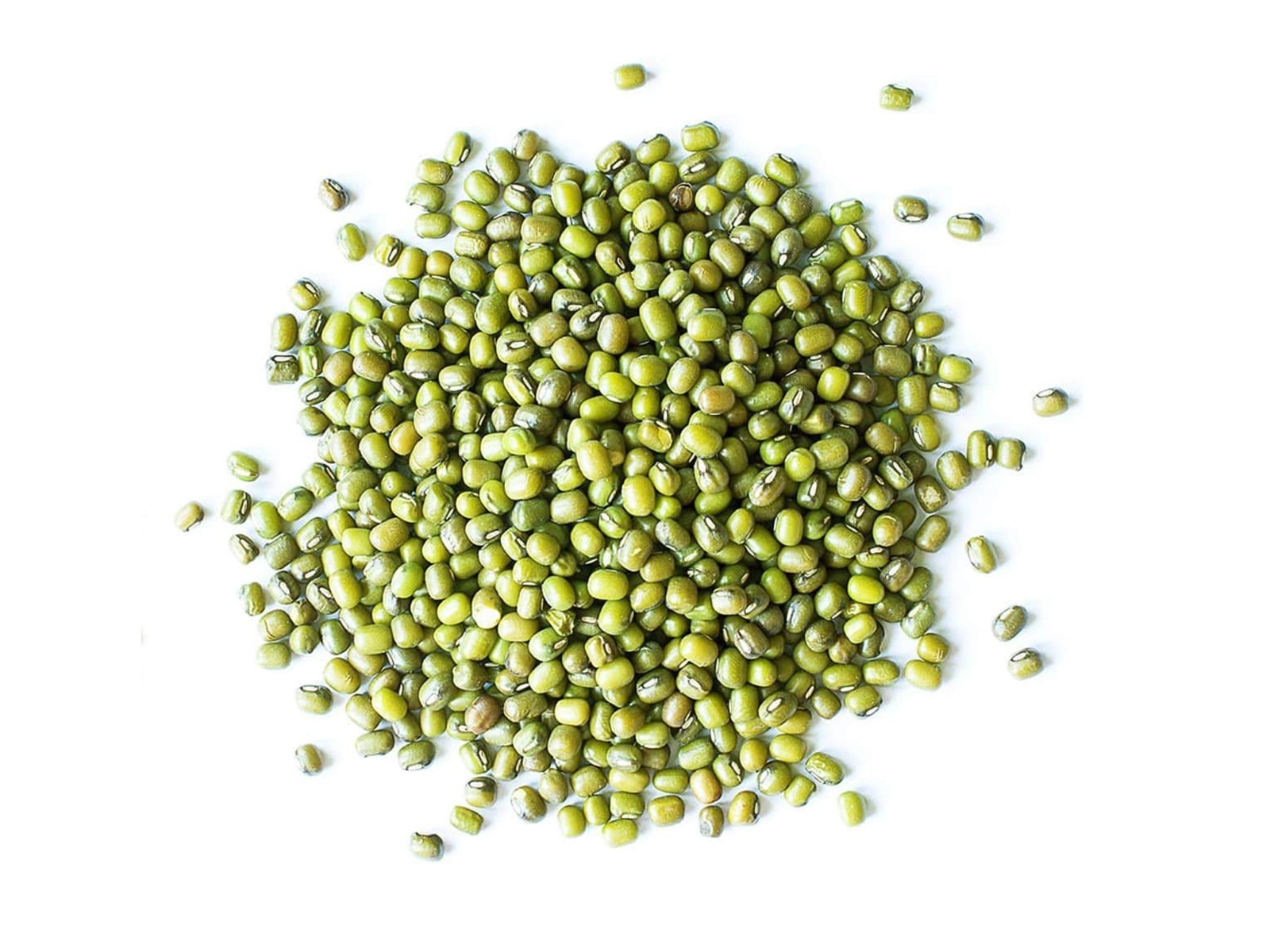 Organic Mung Beans — Sproutable, Non-GMO, Kosher, Raw, Vegan — by Food to Live