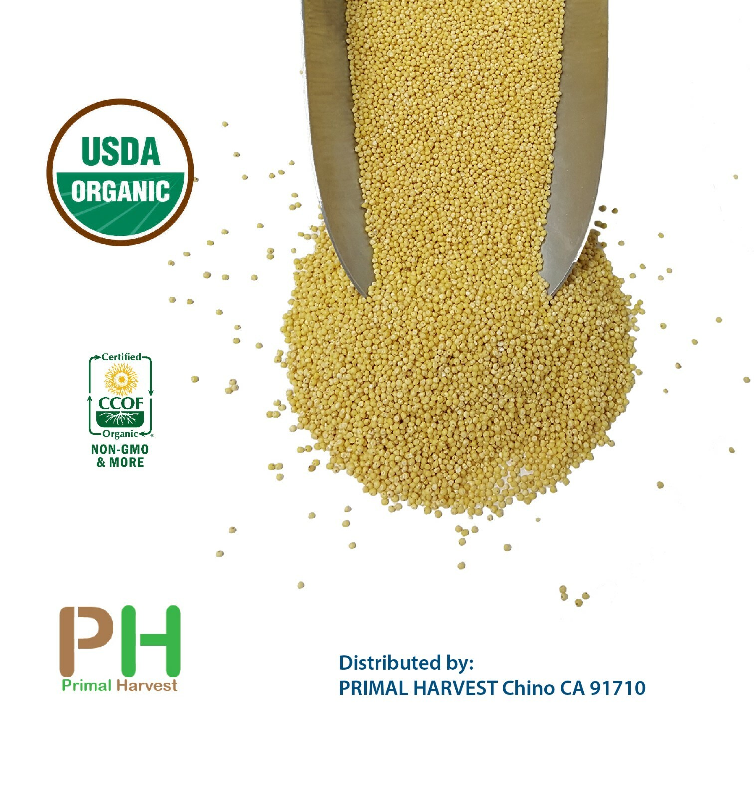 USA Grown Organic Millet, Whole Grain Seeds non GMO Hulled Bulk Raw