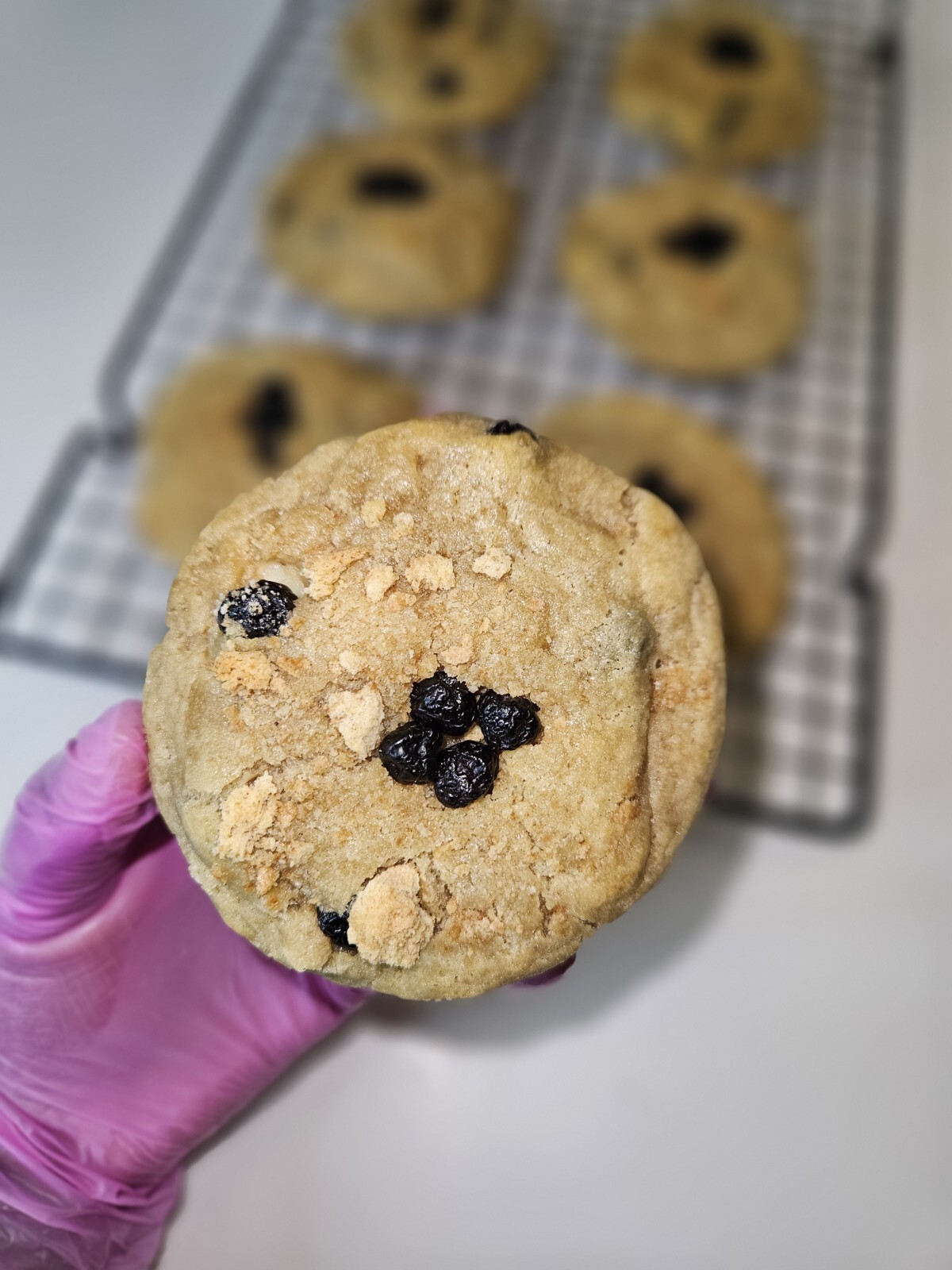 Handmade Fresh Baked Blueberry Cheesecake Cookies, Giant Cookies, Soft Baked