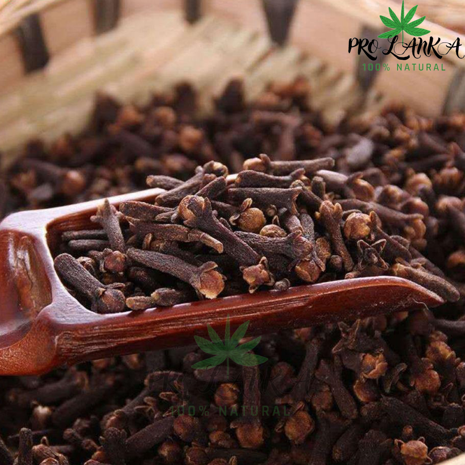 100g Sun Dried Ceylon Whole Clove 100% Free Organic Hand picked Herbs & Spices