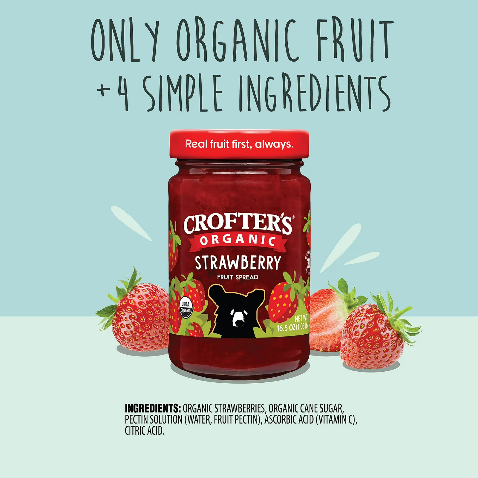 Crofters Organic Strawberry Premium Fruit Spread, 16.5 oz