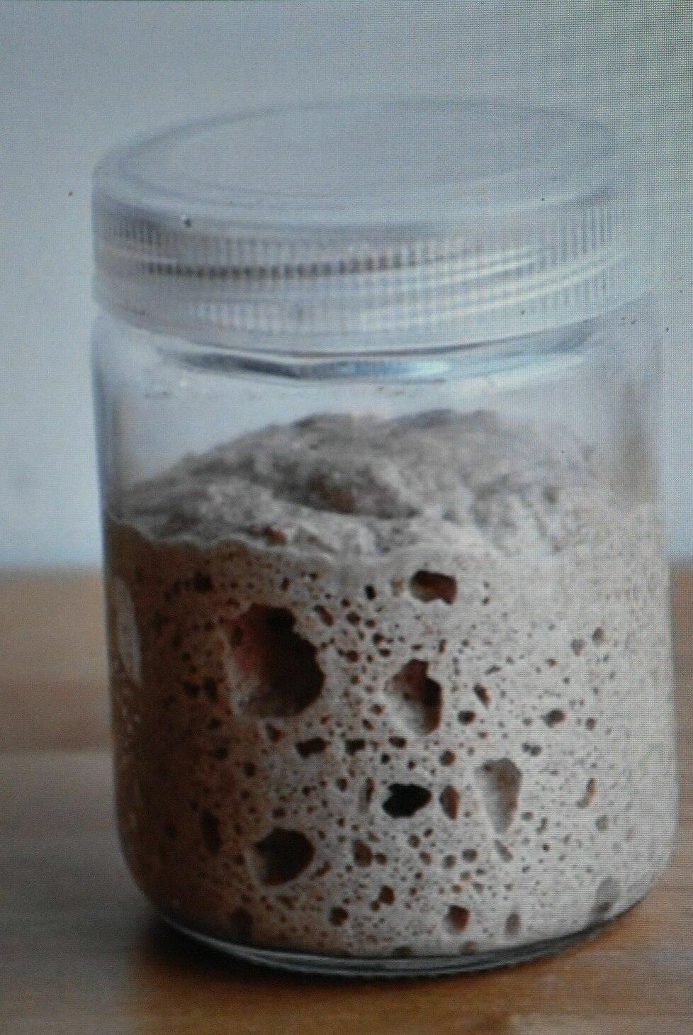 San Francisco SOURDOUGH live YEAST Purely Organic wharf FRESH BATCH MONTHLY