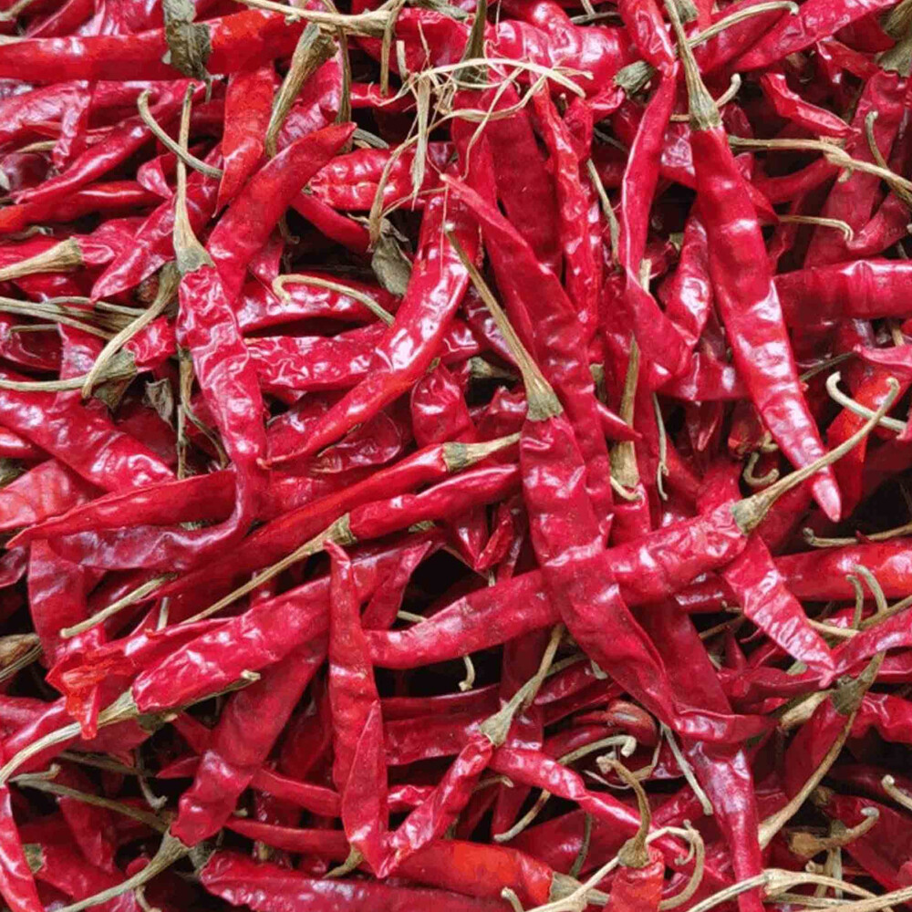 Indian Spices Masale Red Chilli Laal Mirch Sabut Pure Organic 10-1000 gm F/Ship