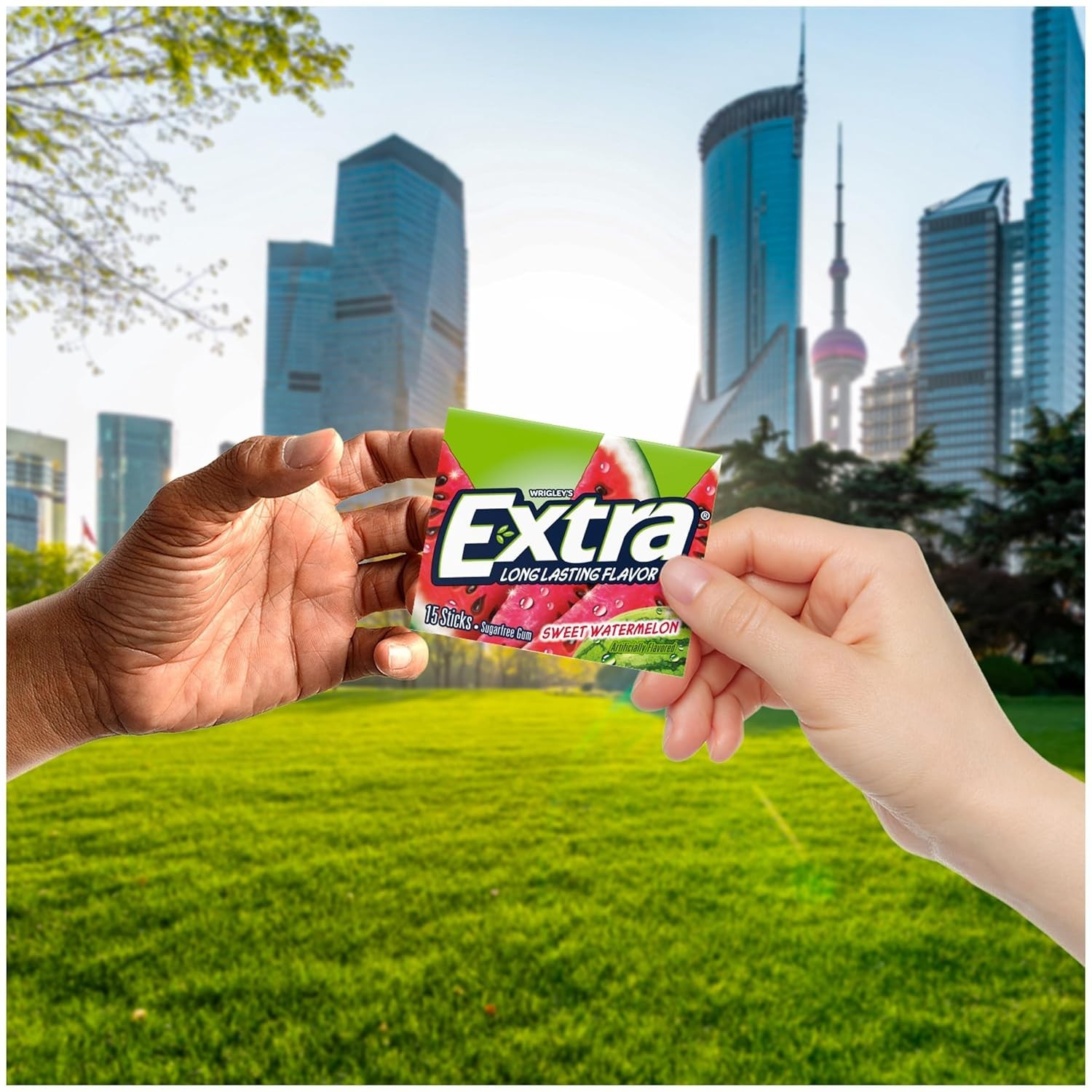EXTRA Sweet Watermelon Sugar Free Chewing Gum Bulk, 15 Pieces (Pack of 10)