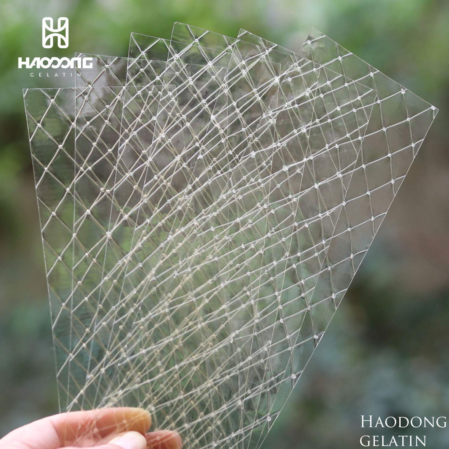 Silver Gelatin Sheets – 180 Bloom Beef Leaf Gelatin for Baking and Cooking, Dess