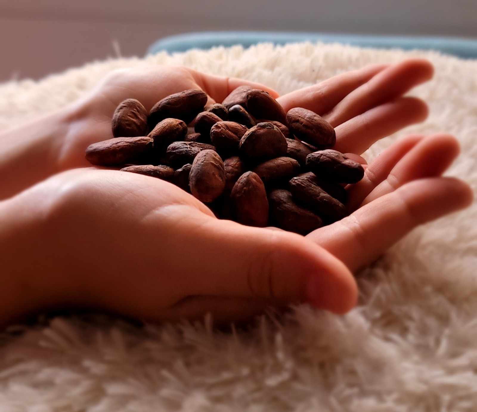 Roasted Cacao Beans | 100% Pure Colombian Cacao | Natural Chocolate Superfood |