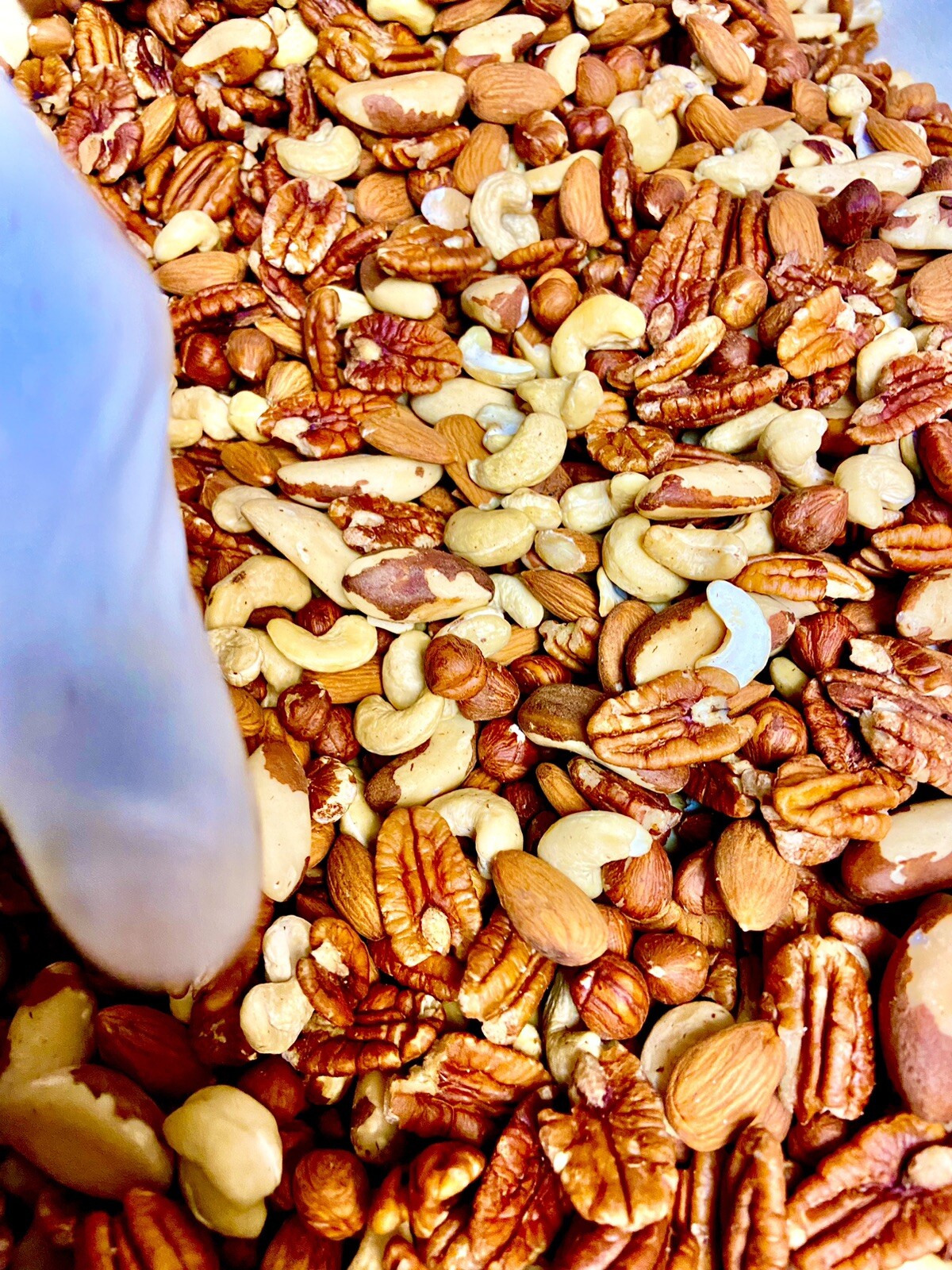 Raw Natural Mixnut Hazelnut Cashew Walnut Almond Pecan 11 oz.to 30 lbs.AgroSun