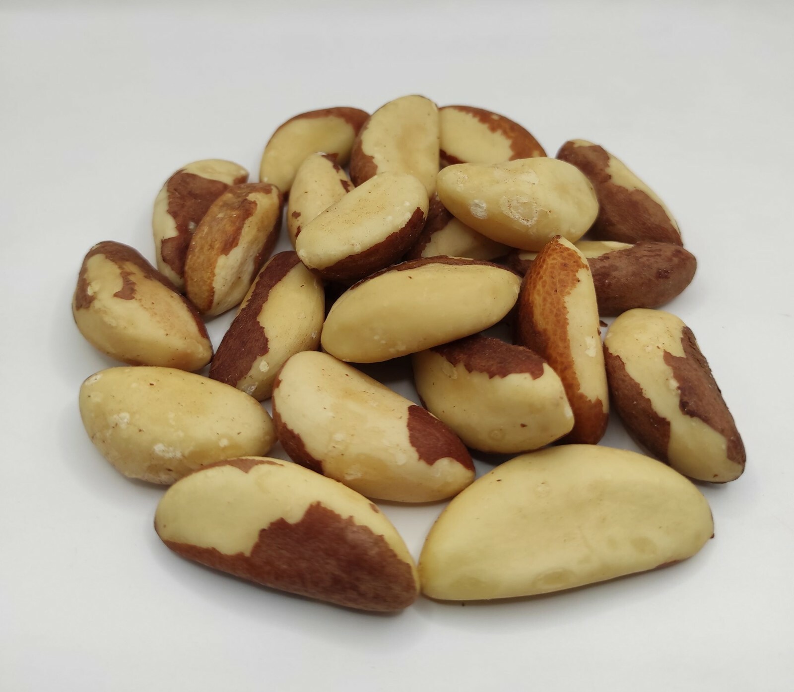 Dried Brazil Nuts 40g(1.4oz) – 1.95Kg(68.8oz) Bertholletia excelsa