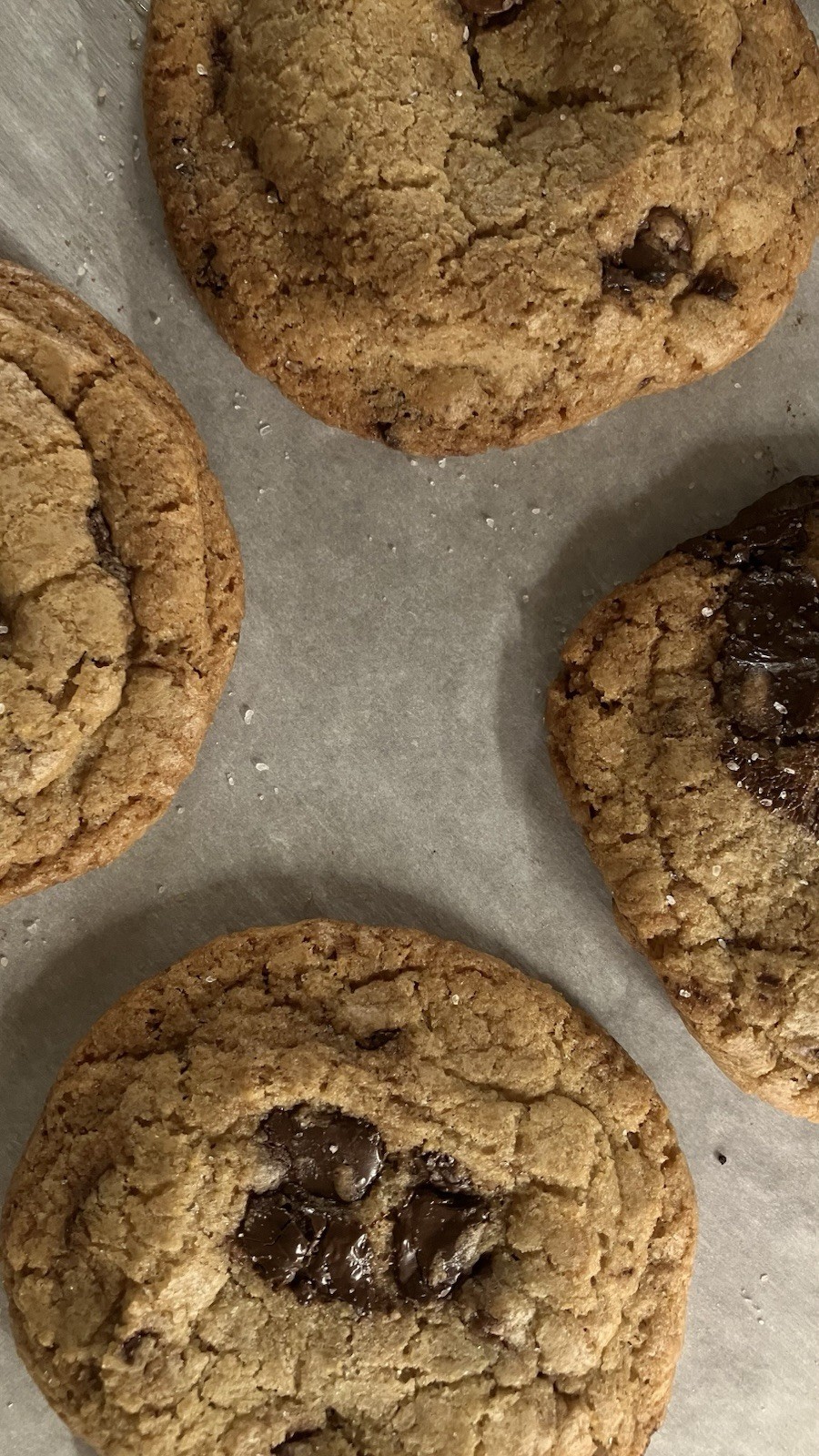 Homemade Chocolate Chip Cookies Fresh Two Dozen (24 Count) Free Shipping