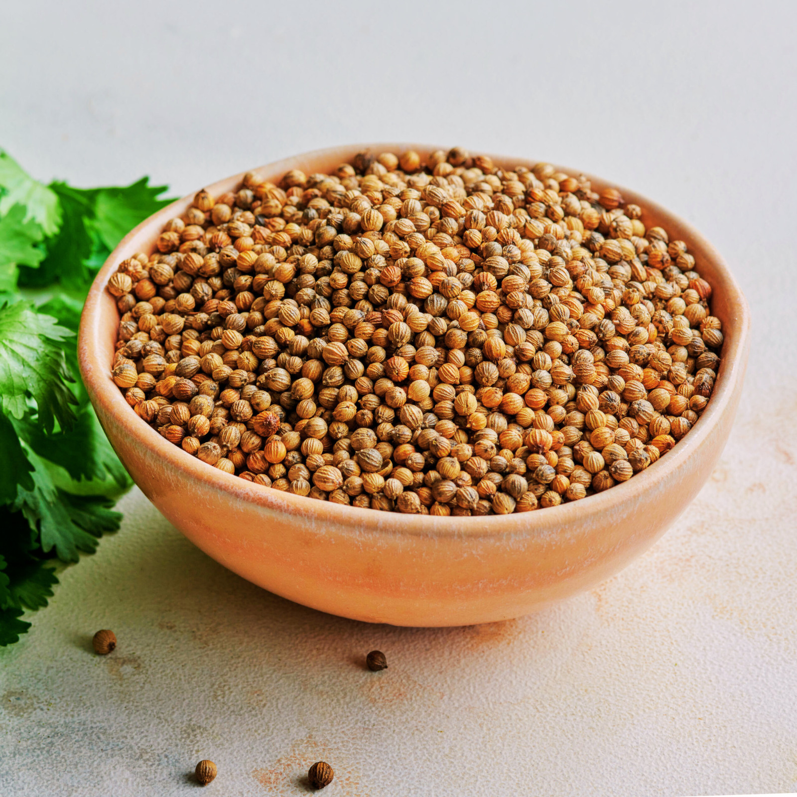 Coriander Seed | Organic Whole Seeds | Premium Quality Herbal Drink | Herb Spice