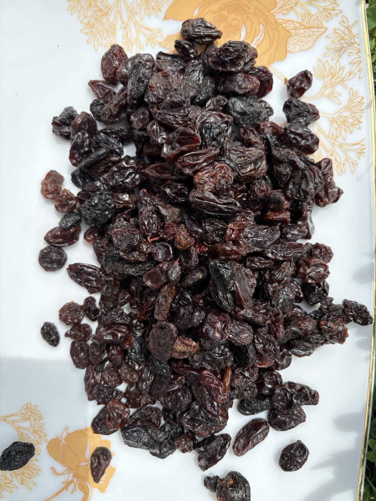 Jumbo Black Raisins Fresh Resealable Bag 11oz. to 40 lbs.by Agro Sun Quality